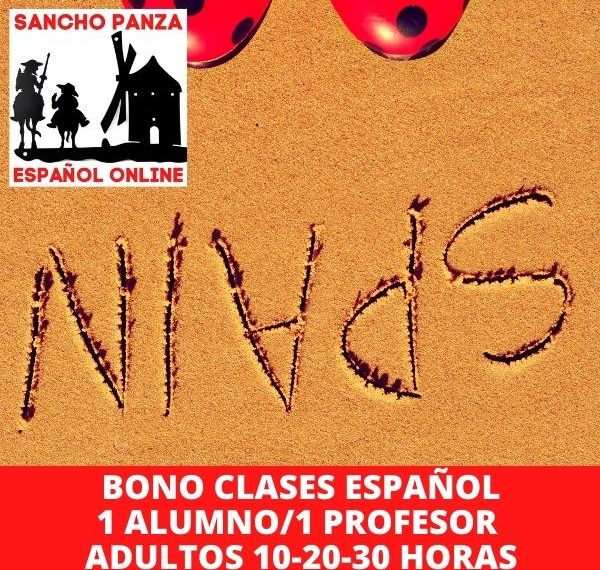 Clases online de español