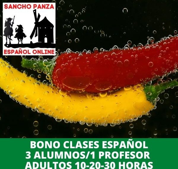 Clases de español online